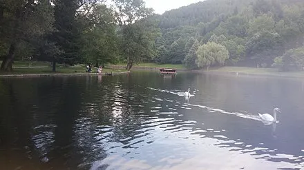 Bachinovo Park