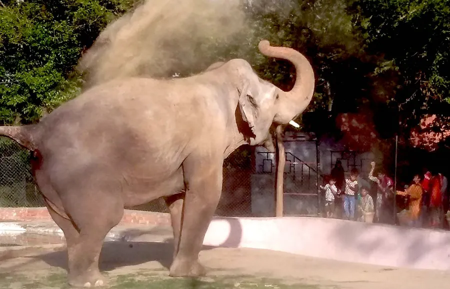 Bahawalpur Zoo