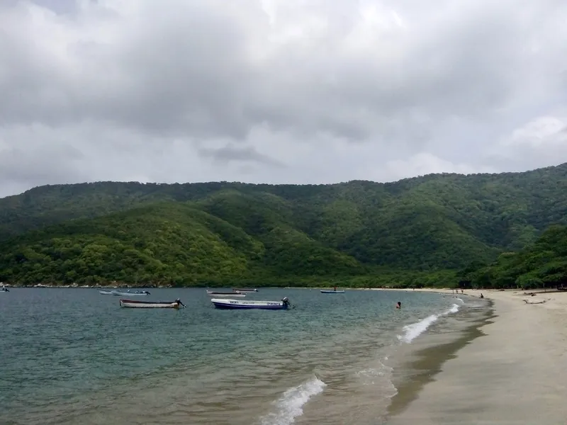 Bahia Concha