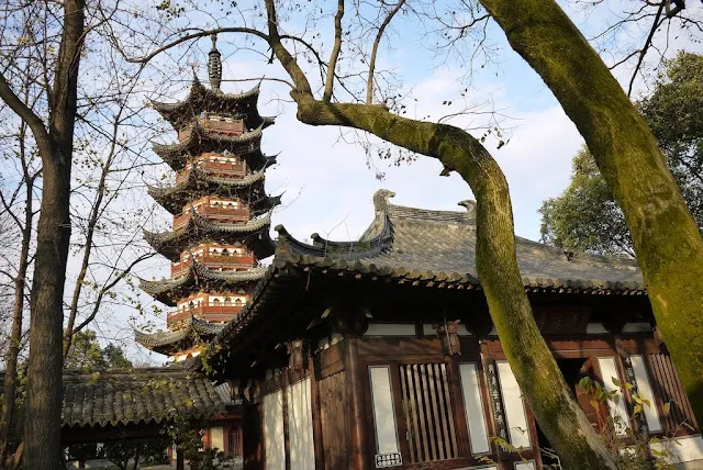 Baicao Garden