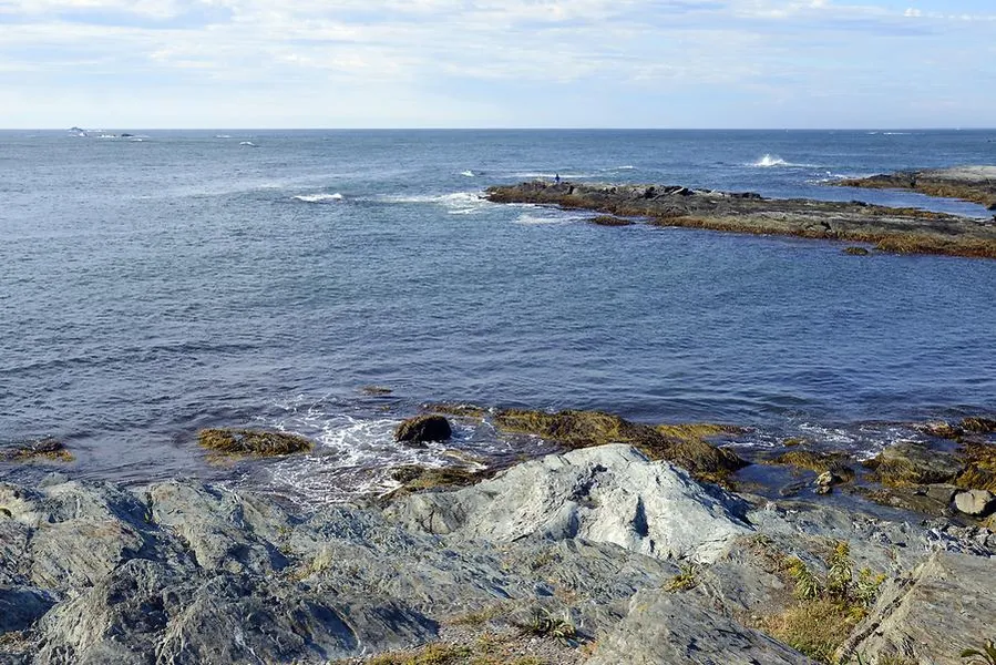 Bald Head Cliff