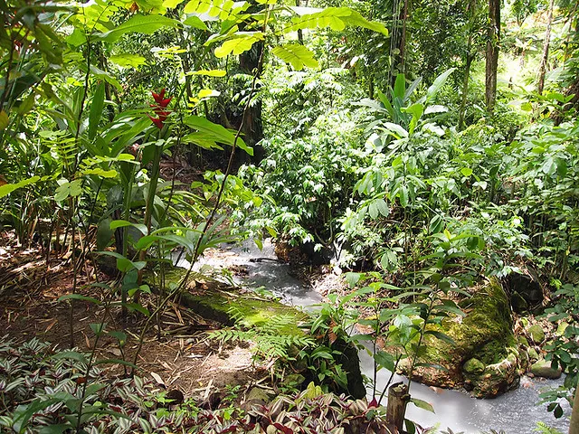 Balenbouche Estate