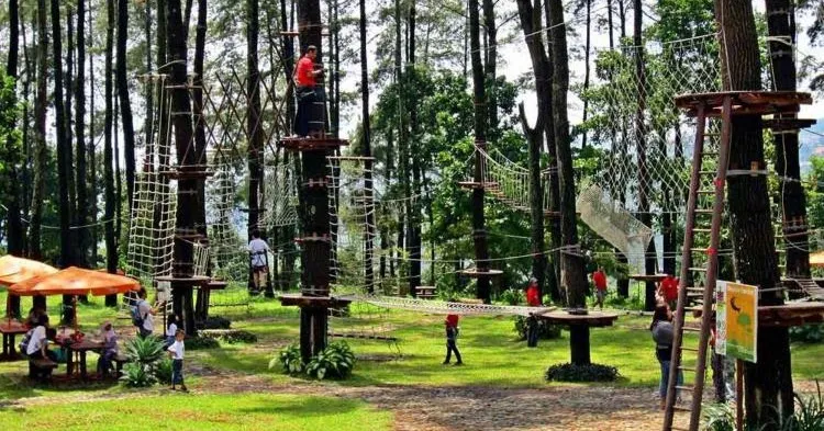 Bali Treetop Adventure Park