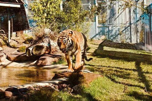Ballarat Wildlife Park