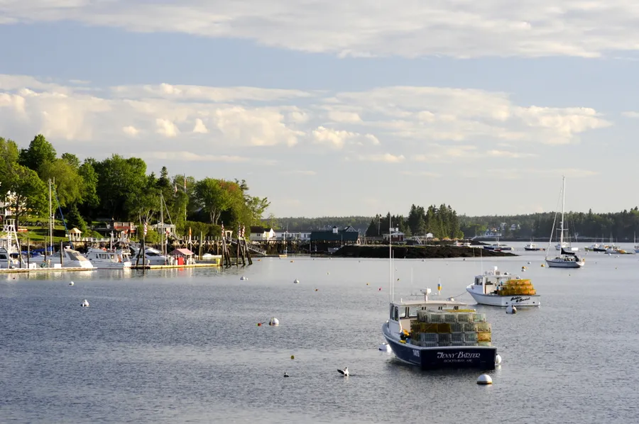 Balmy Days Cruises