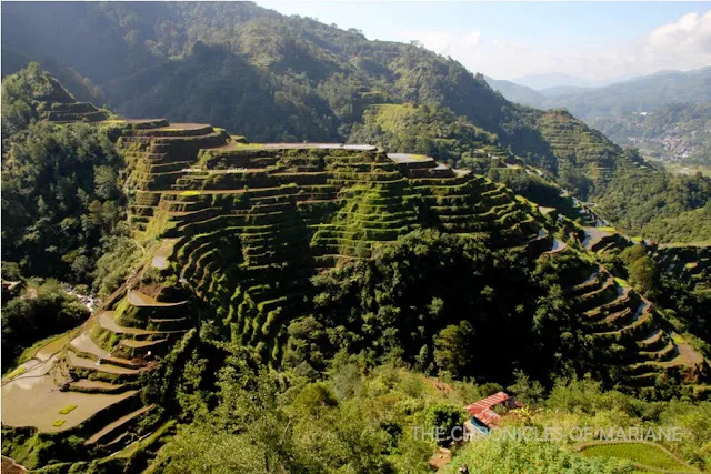 Banaue Museum