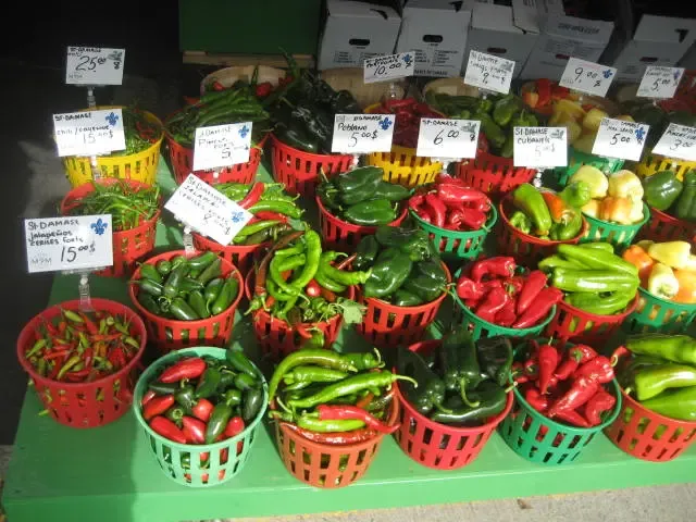 Bangalow Market