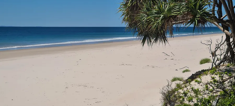 Banksia Beach
