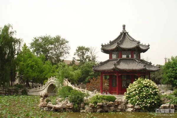 Baoding Ancient Lotus Pond