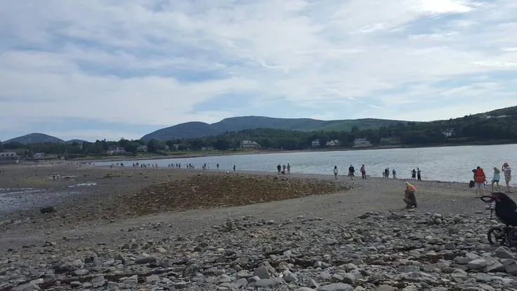 Bar Island Land Bridge
