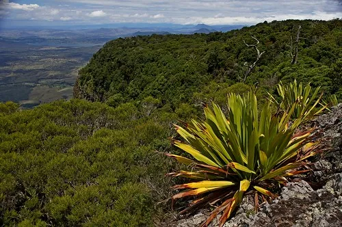 Bar Rock Lookout