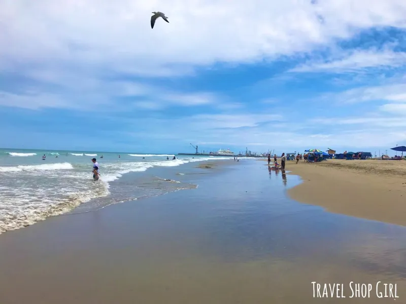 Barbasquillo