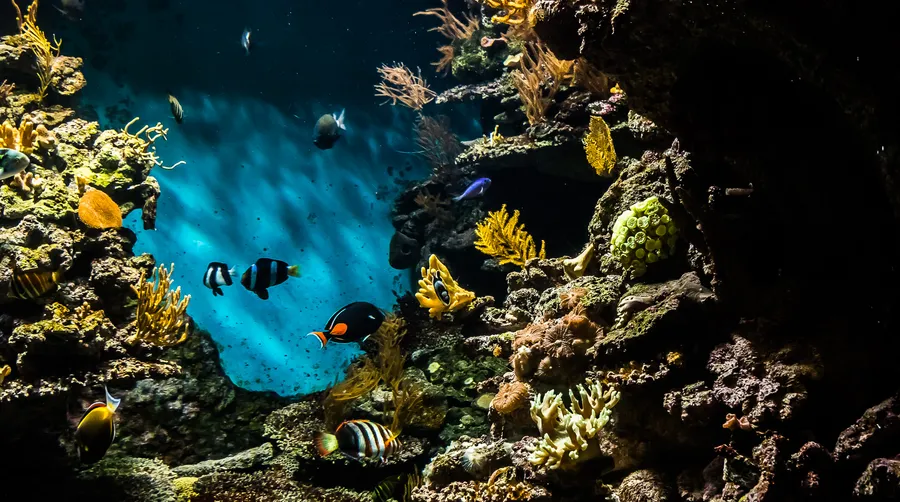 Barcelona Aquarium