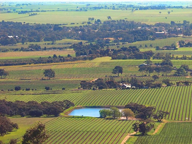 Barossa Valley Brewing