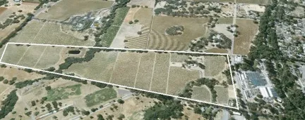 Bartholomew Park Winery