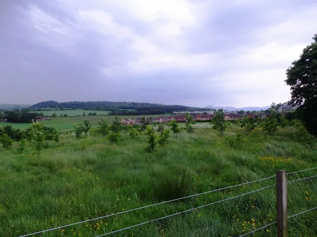 Battlefield of Bannockburn