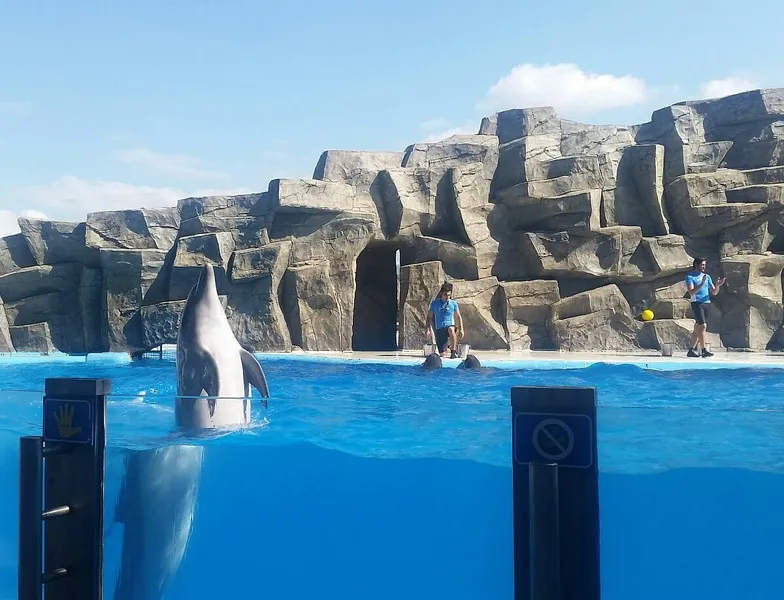 Batumi Dolphinarium