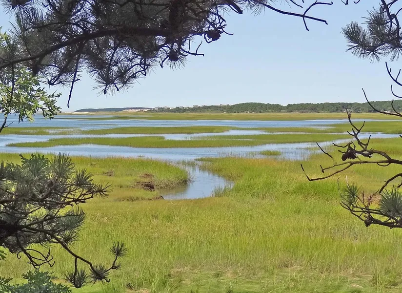 Bay Beach Wildlife Sanctuary