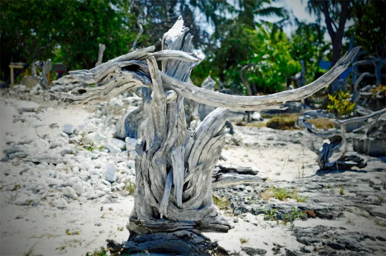 Bay Island Driftwood Museum