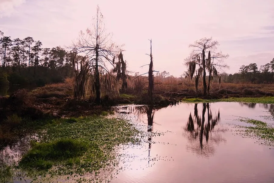 Bayou Bonfouca