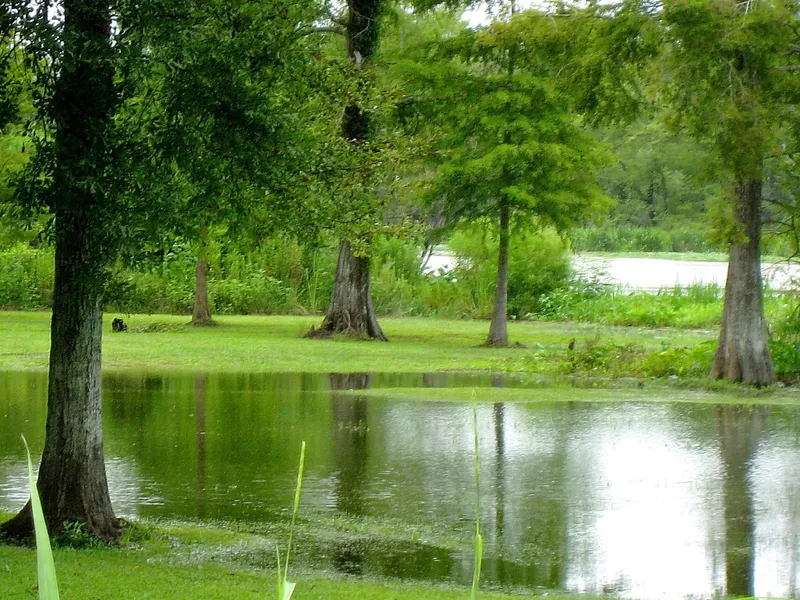Bayou Teche