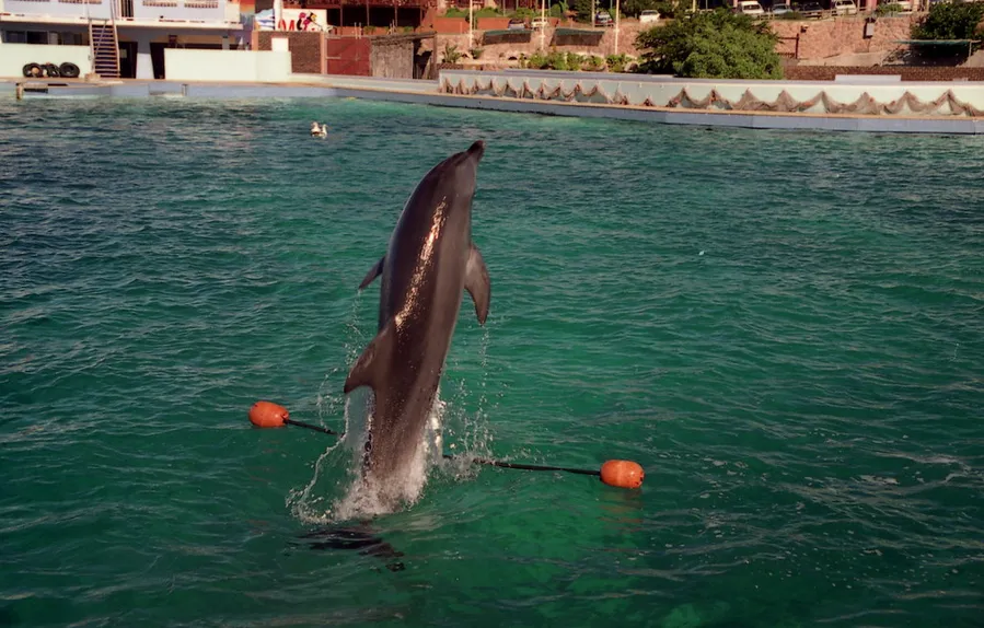 Bayworld Oceanarium