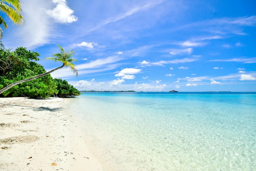 Beach Relaxation