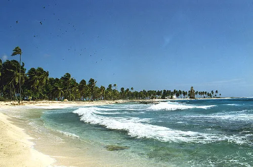 Beachcombing on South Water Caye