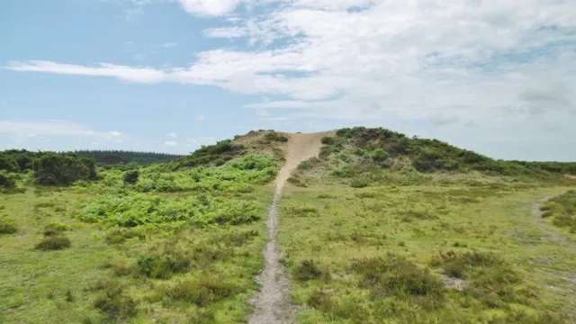 Beaulieu Heath