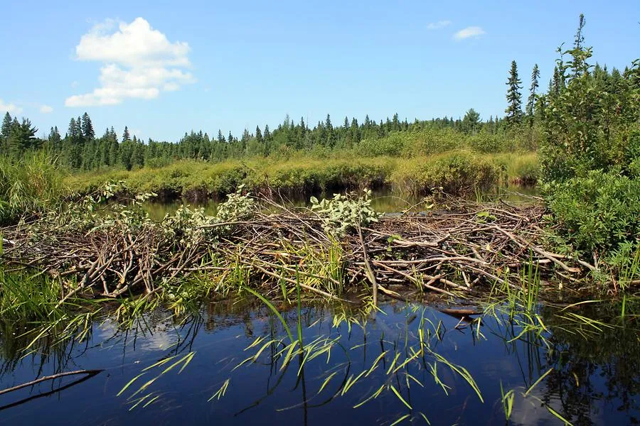 Beaver Dam Campground