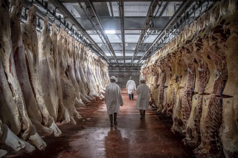 Belcampo Farms Butcher Shop & Restaurant