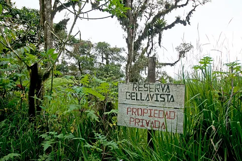 Bellavista Cloud Forest Reserve