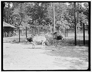 Belle Isle Park