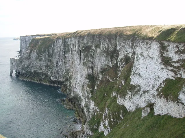 Bempton Cliffs