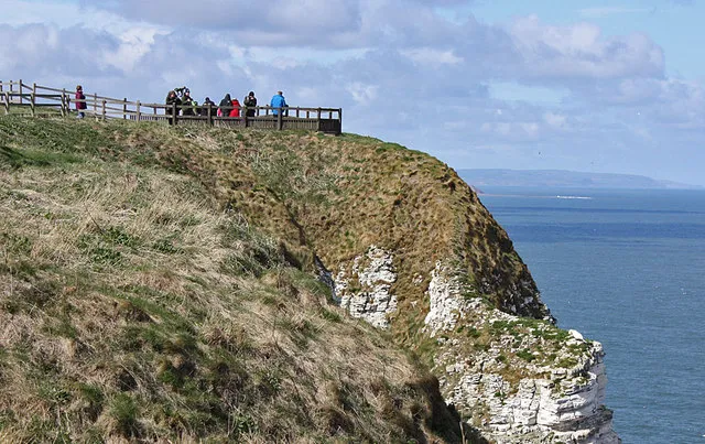 Bempton Cliffs RSPB Reserve (near Filey)