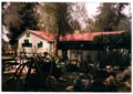 Ben-Gurion's Hut
