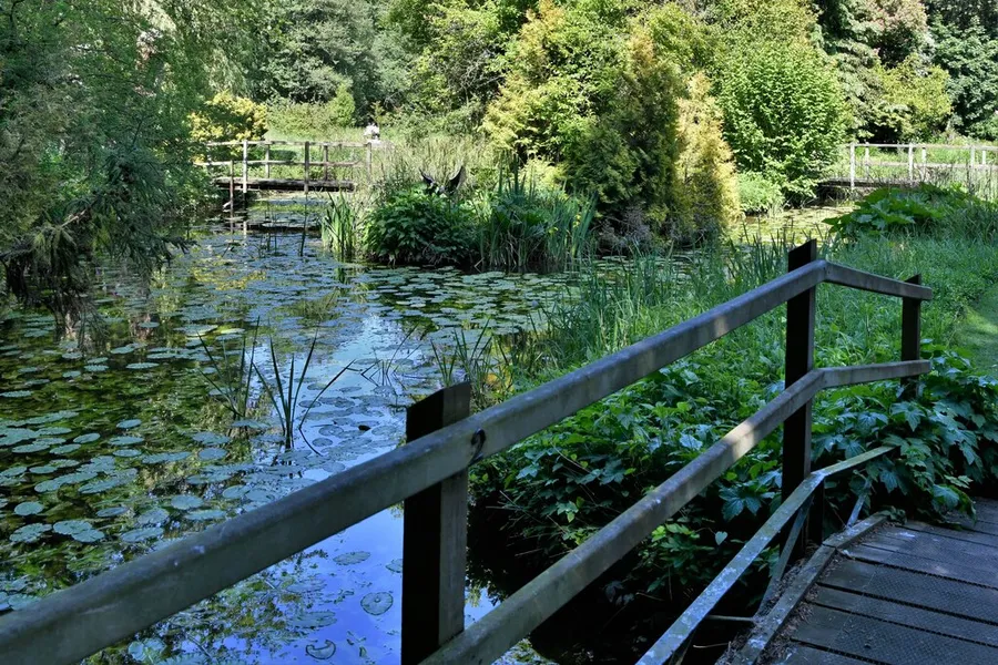 Bennetts Water Gardens