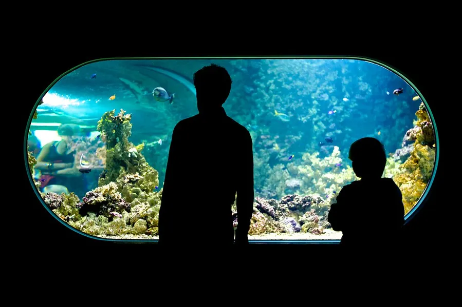 Bergen Aquarium