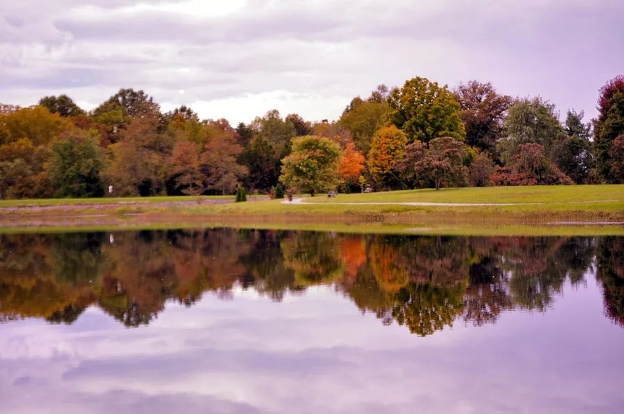 Bernheim Forest