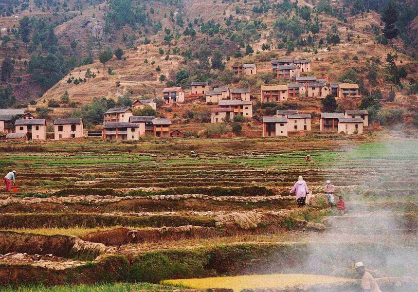 Betafo