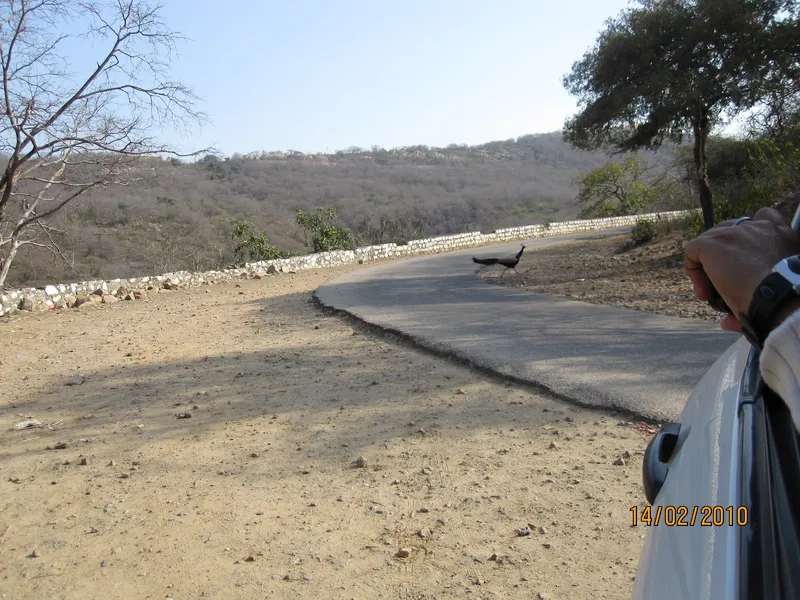 Bhangarh Fort