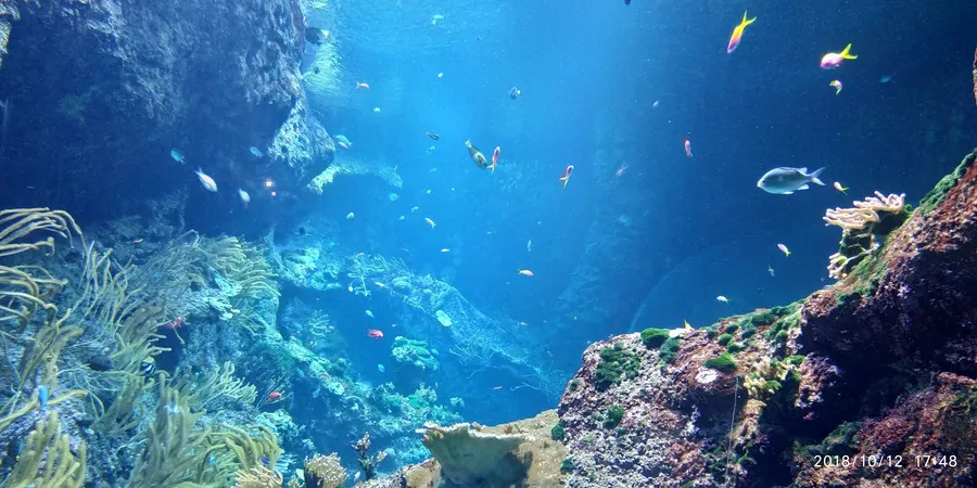Biarritz Aquarium