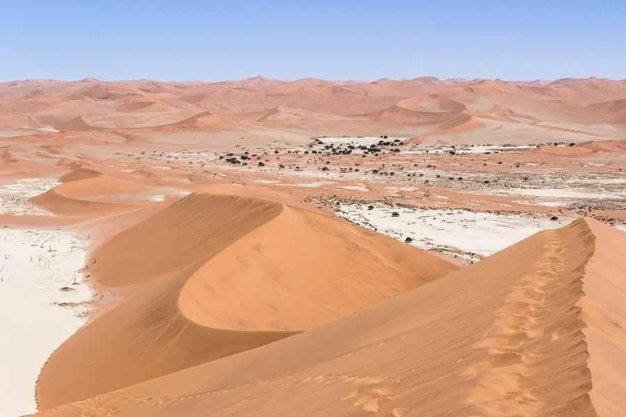 Big Daddy Dune