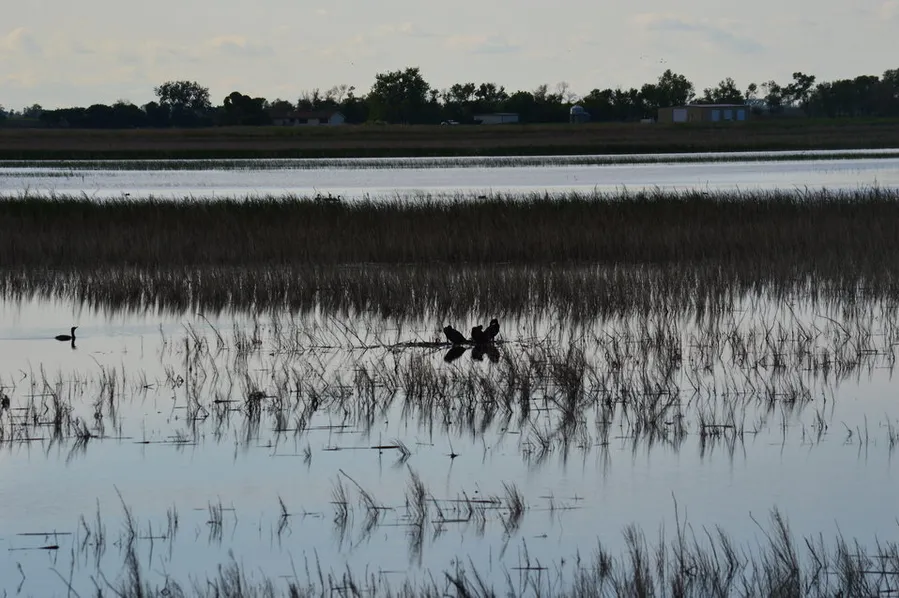 Big Lake National Wildlife Refuge
