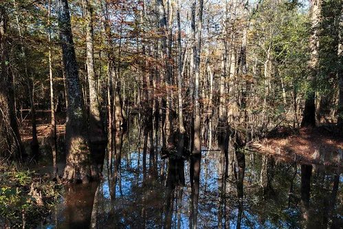 Big Thicket National Preserve