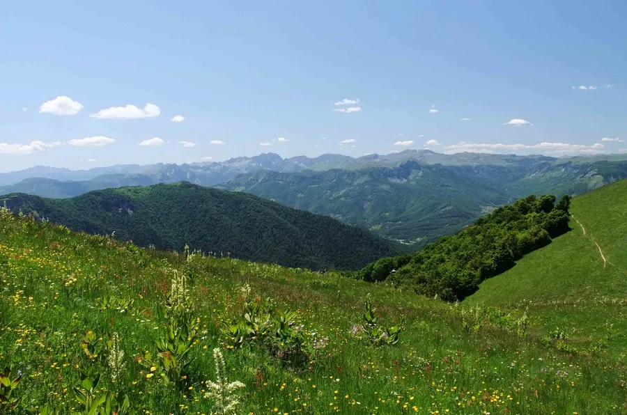 Biogradska Gora National Park