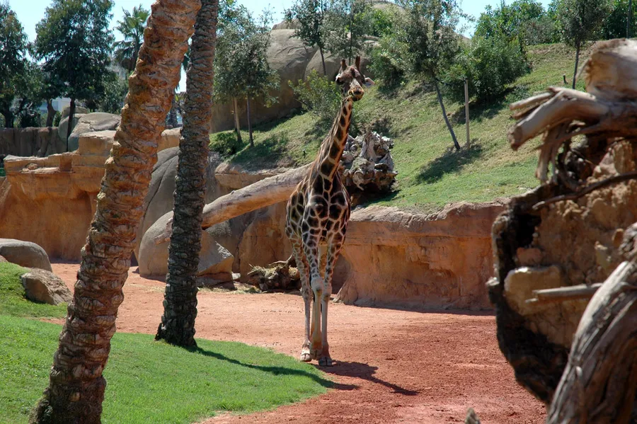 Bioparc Valencia