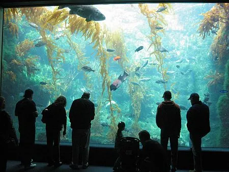 Birch Aquarium at Scripps