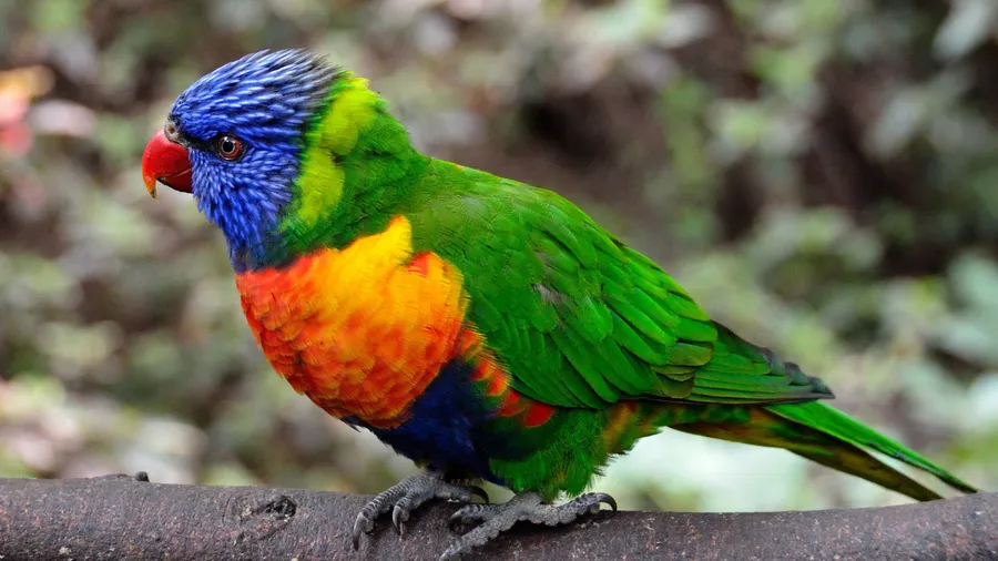 Bird Island Reserve