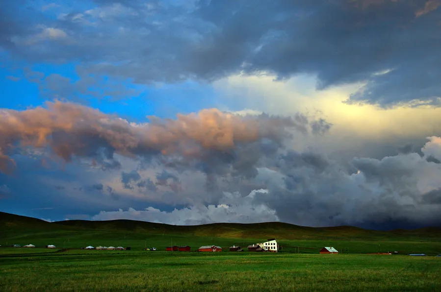 Bird watching at Khustain Nuruu National Park